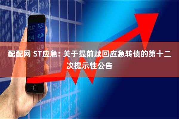 配配网 ST应急: 关于提前赎回应急转债的第十二次提示性公告